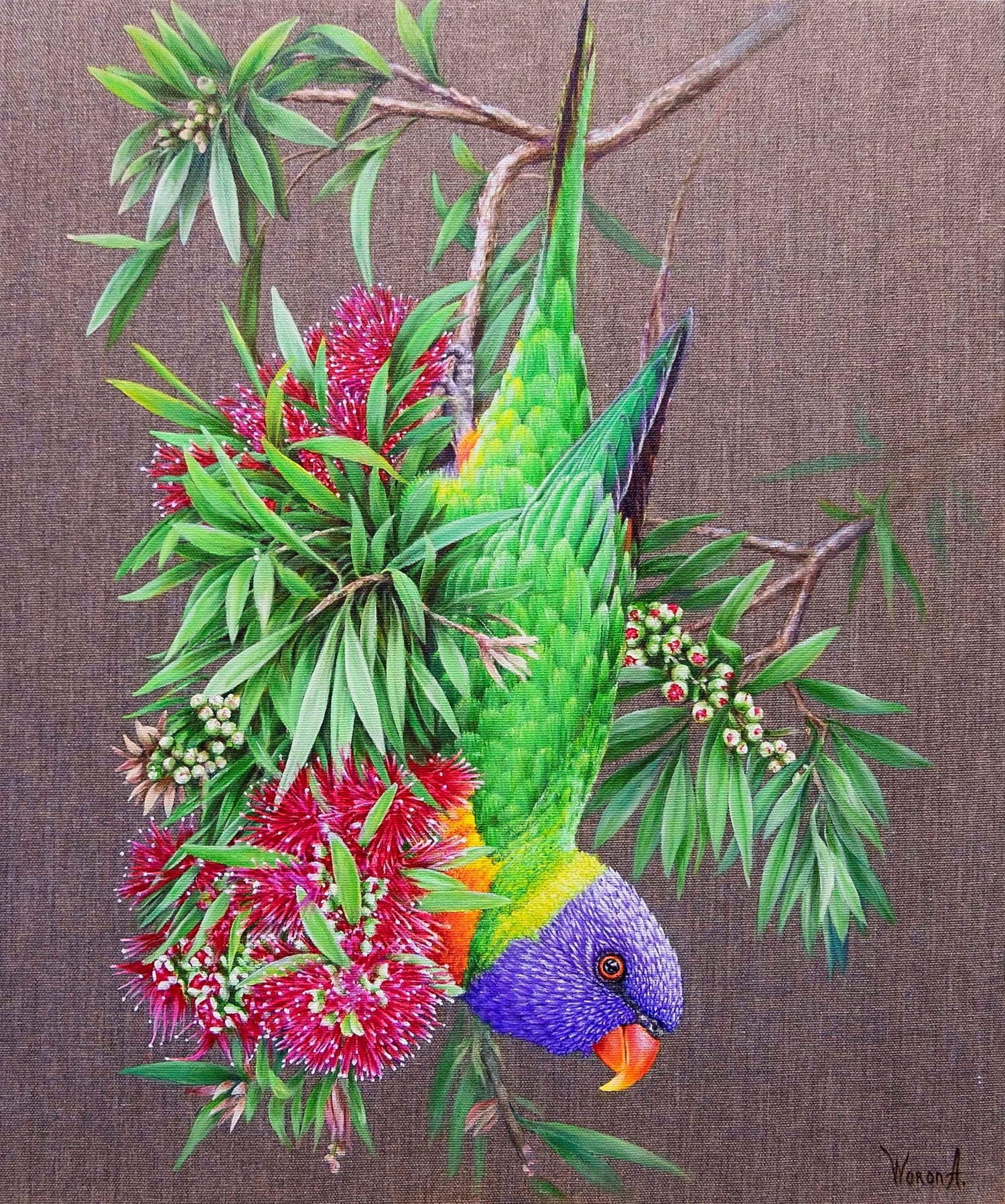 Pájaros