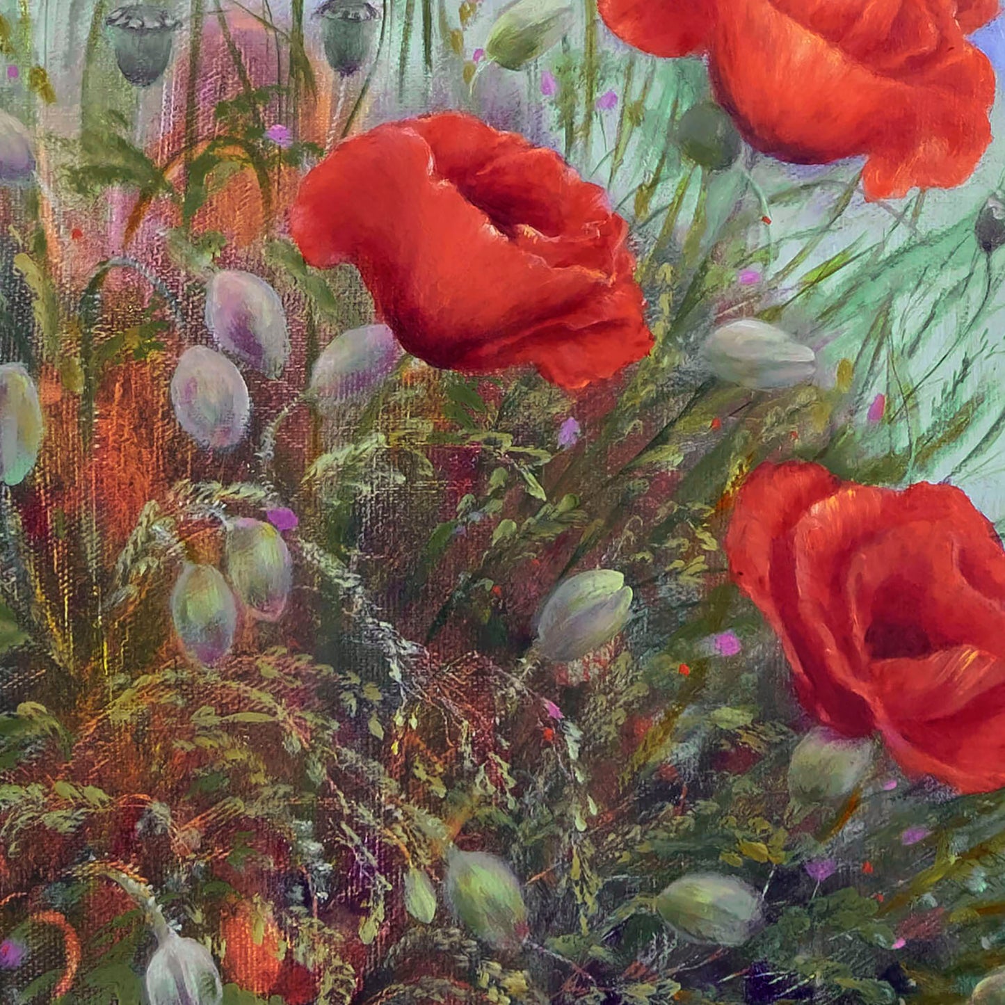 Anastasia Woron : « Champ de coquelicots » – Peinture à l'huile originale 35x27 cm (2019)