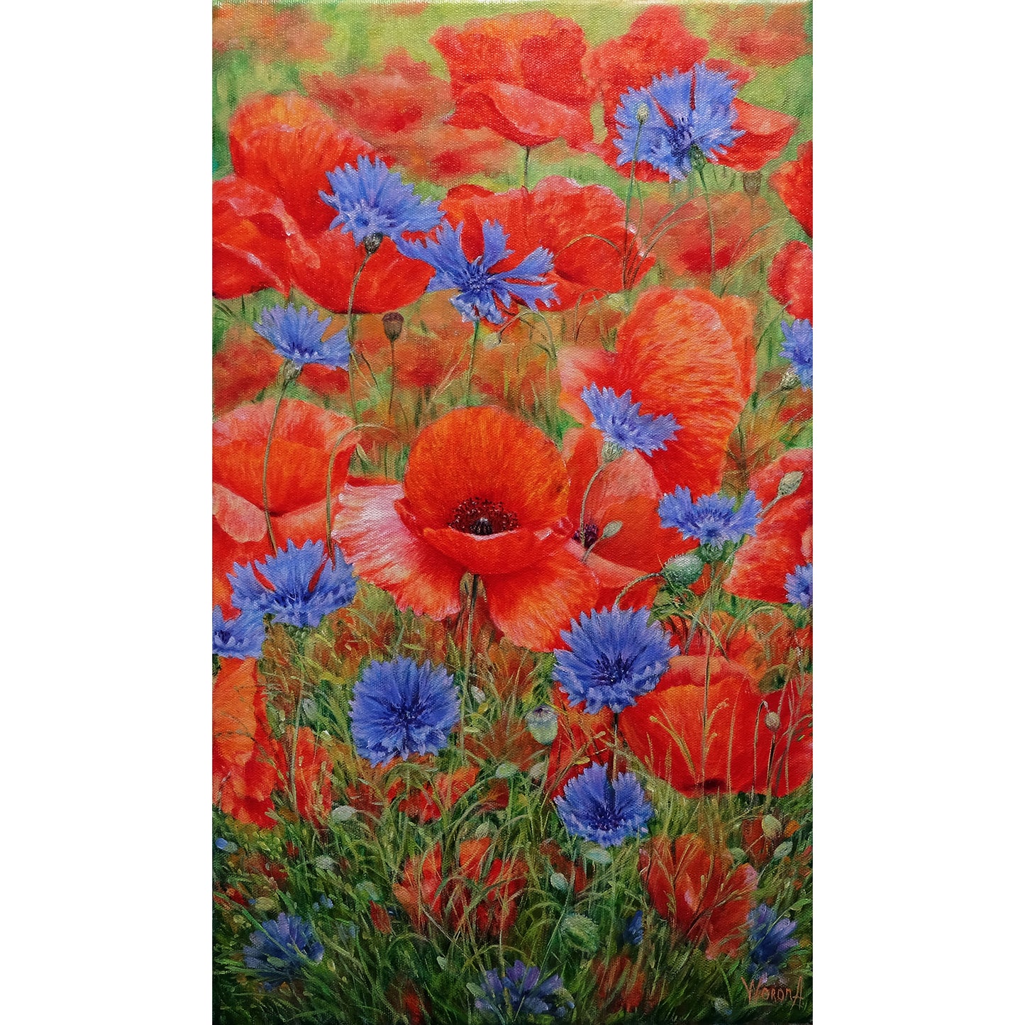 Anastasia Woron: "Poppies with Cornflowers" – Original Oil Painting 46x27 cm (2022)