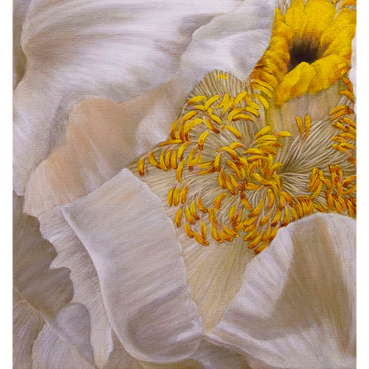 Anastasia Woron - Original Signed Oil Painting 2023: White Peony 73x54cm
