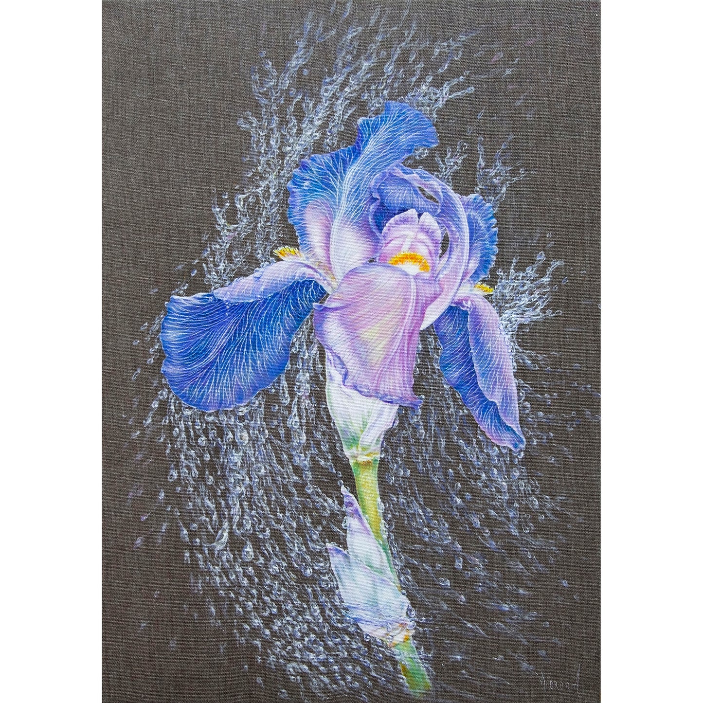 Anastasia Woron : « Iris dans des perles de pluie » – Huile 46 x 33 cm
