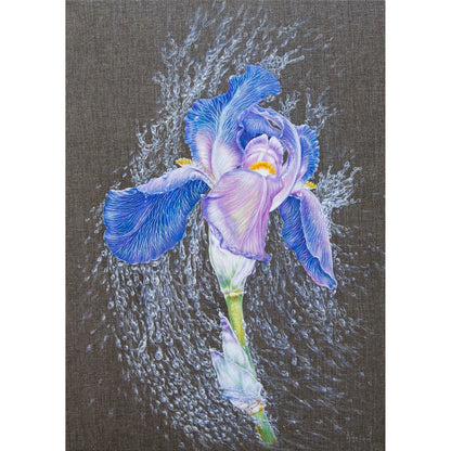 Anastasia Woron : « Iris dans des perles de pluie » – Huile 46 x 33 cm