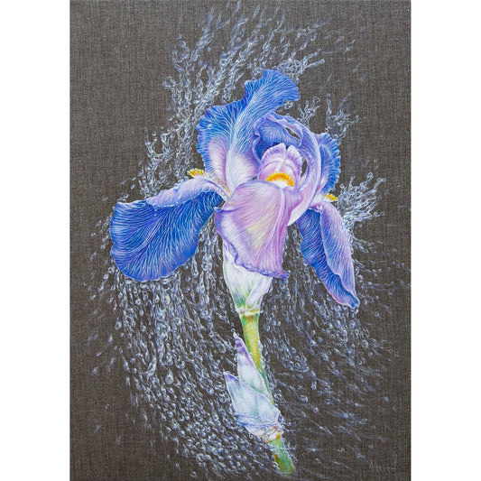 Anastasia Woron : « Iris dans des perles de pluie » – Huile 46 x 33 cm