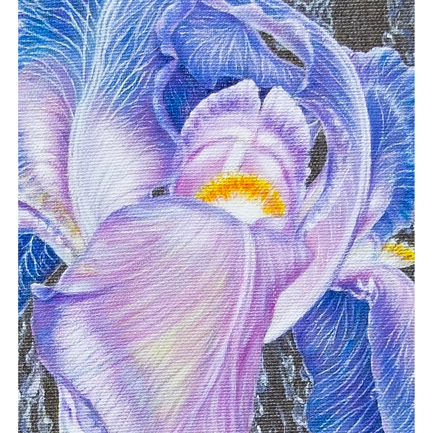 Anastasia Woron : « Iris dans des perles de pluie » – Huile 46 x 33 cm