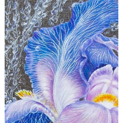 Anastasia Woron : « Iris dans des perles de pluie » – Huile 46 x 33 cm