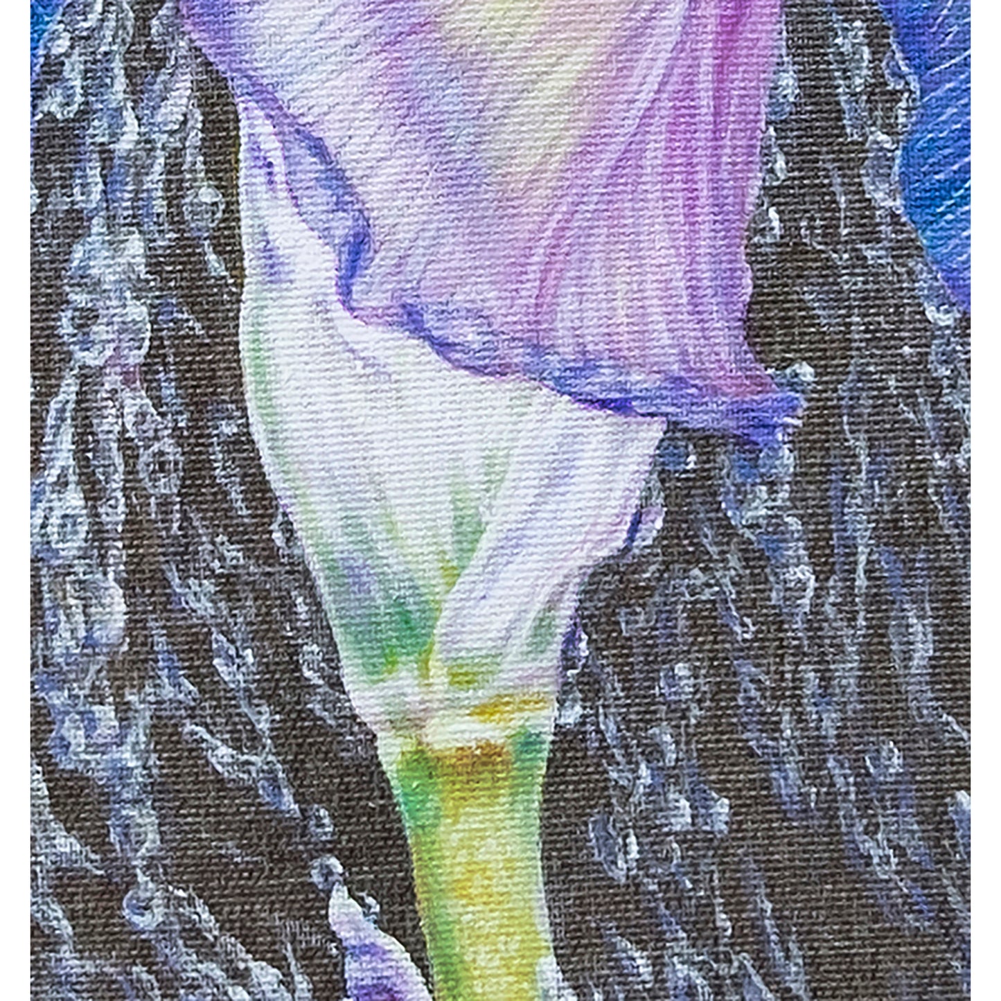 Anastasia Woron : « Iris dans des perles de pluie » – Huile 46 x 33 cm