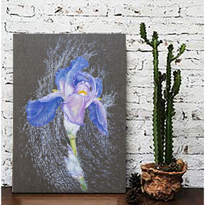 Anastasia Woron : « Iris dans des perles de pluie » – Huile 46 x 33 cm