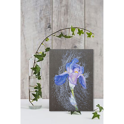 Anastasia Woron : « Iris dans des perles de pluie » – Huile 46 x 33 cm