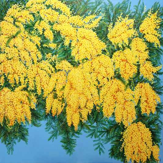 Anastasia Woron: “Mimosa” – Oil 100×100 cm (2022)