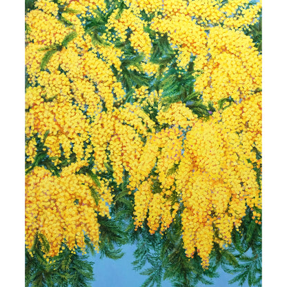 Anastasia Woron: “Mimosa” – Óleo 100×100 cm (2022)