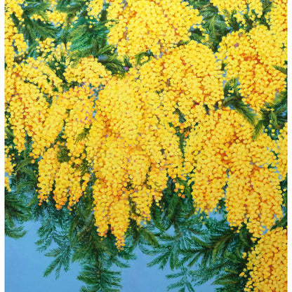 Anastasia Woron: “Mimosa” – Óleo 100×100 cm (2022)