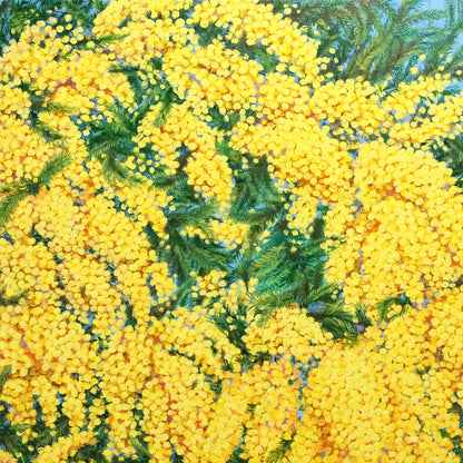 Anastasia Woron: “Mimosa” – Óleo 100×100 cm (2022)