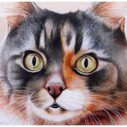 Anastasia Woron: “El Gato. El Basilio” – Óleo 60×60 cm (2024)