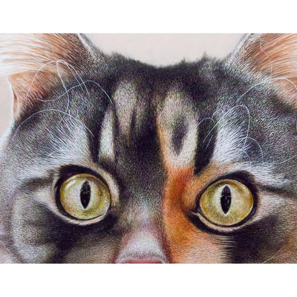 Anastasia Woron: “El Gato. El Basilio” – Óleo 60×60 cm (2024)