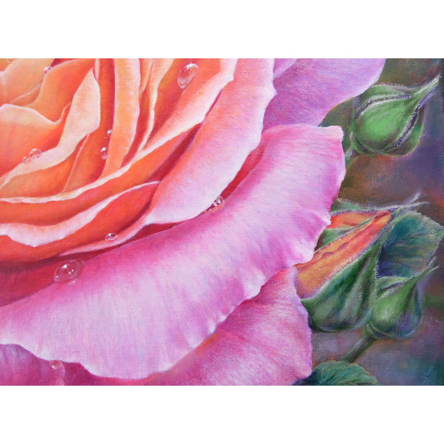 Anastasia Woron: “Rosa Rosada” – Óleo 40×40 cm (2020)