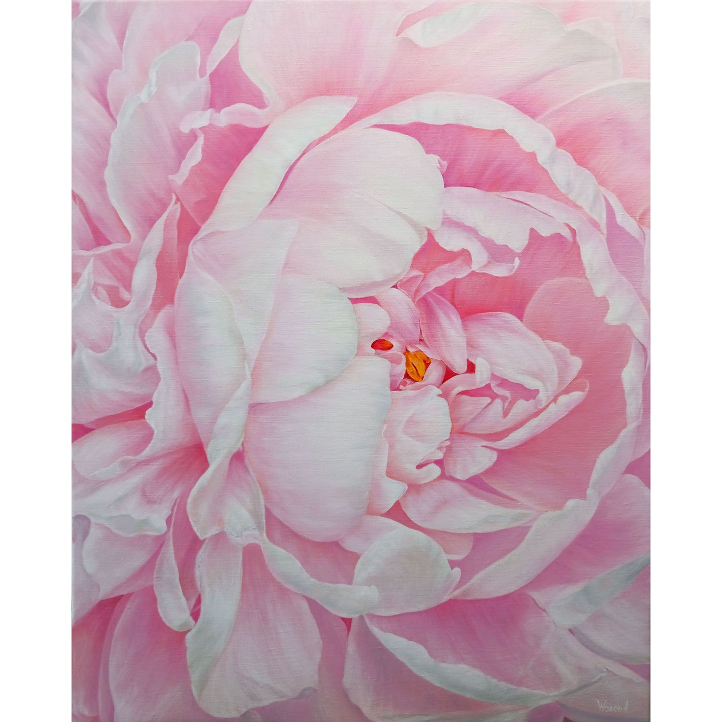 Anastasia Woron: "The Tender Peony" – Original Oil Painting 80x65 cm (2022)