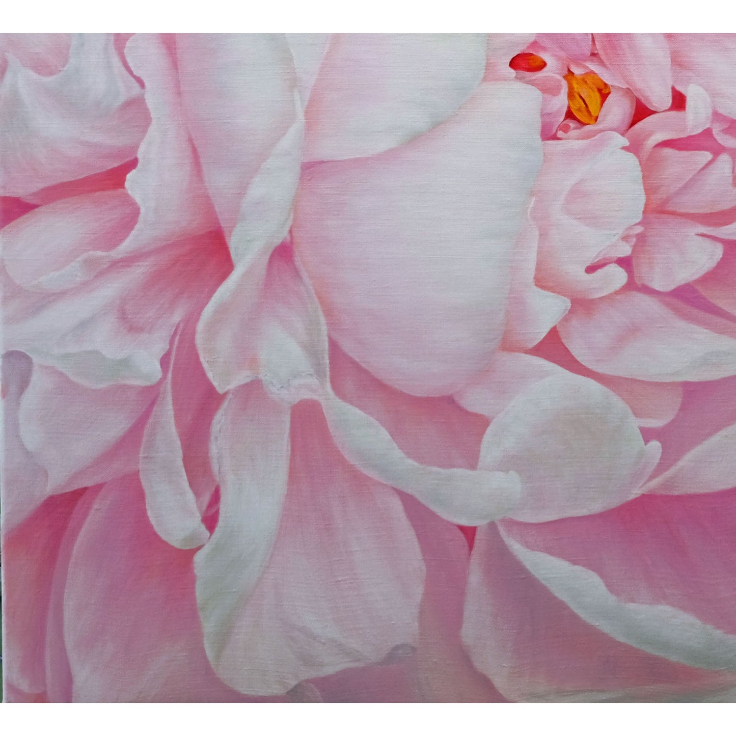 Anastasia Woron: "The Tender Peony" – Original Oil Painting 80x65 cm (2022)