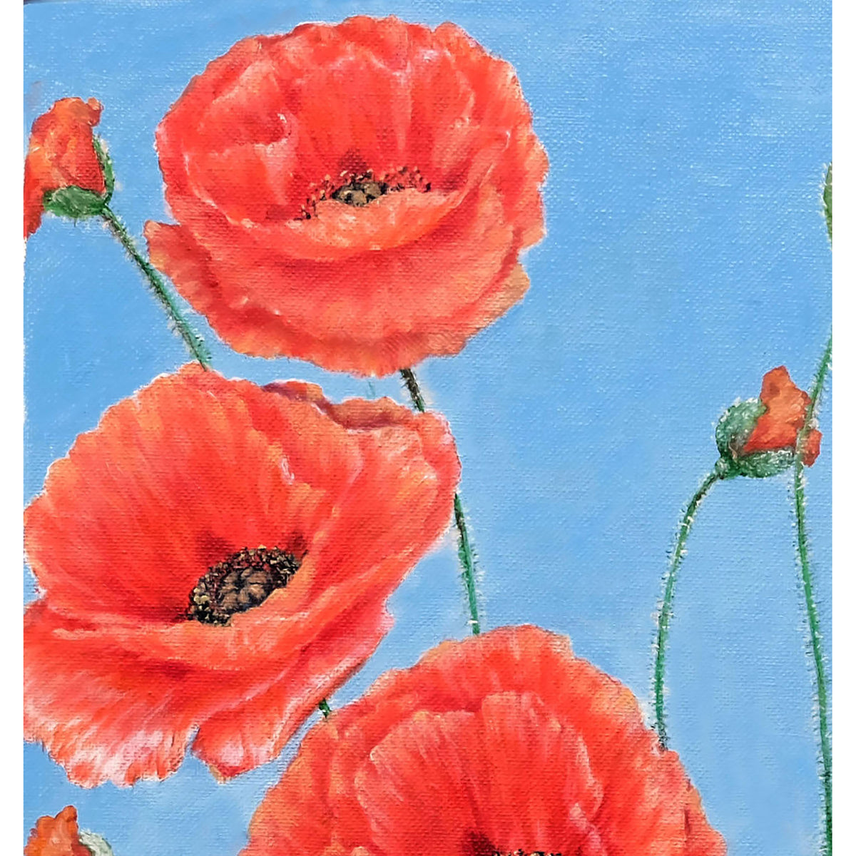 Amapolas rojas y tallos verdes en Poppies on blue de Anastasia Woron, primer plano de pinceladas al óleo