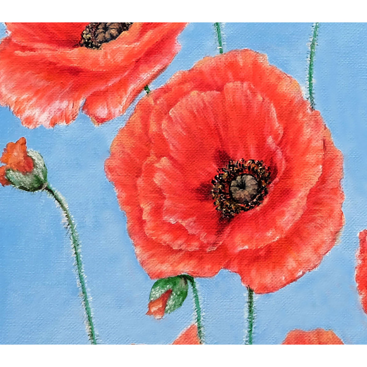 Detalle de una amapola roja y su centro oscuro en Poppies on blue, pintura al óleo original