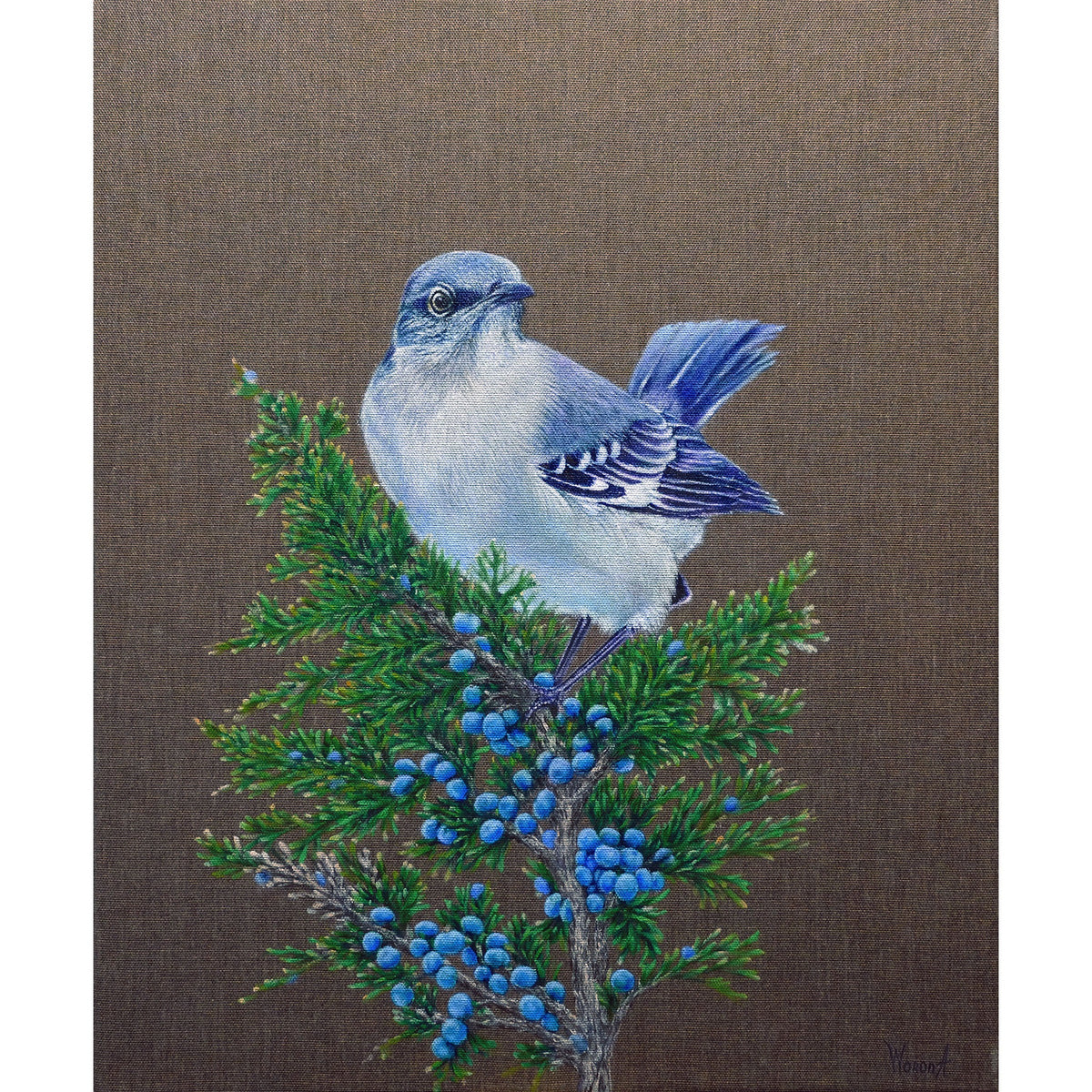 Anastasia Woron, Juniper Watcher: vista frontal del óleo original de un pájaro azul sobre rama de enebro