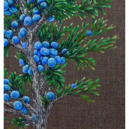 Detalle de las bayas azules y las ramas verdes de enebro en Juniper Watcher