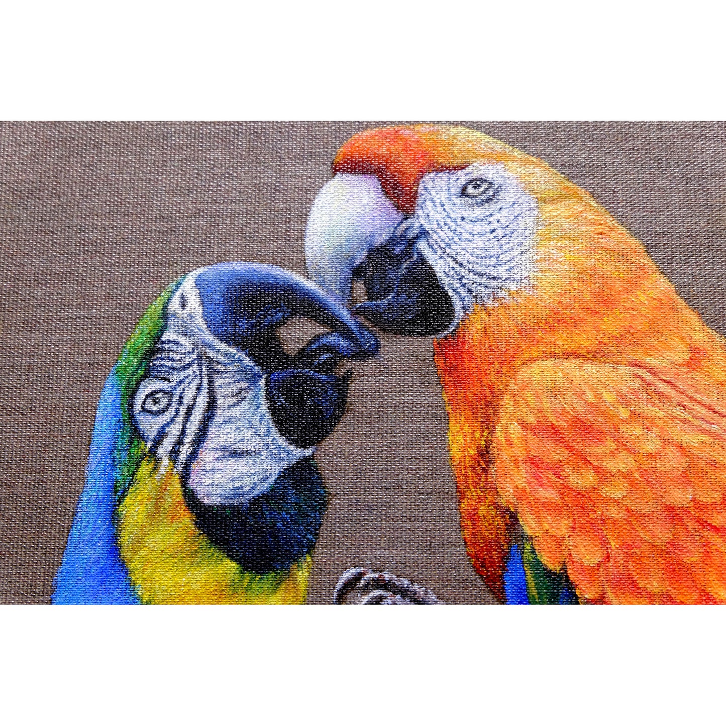 Anastasia Woron: "Two Macaws in Love" – Oil 73x54 cm (2022)