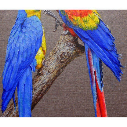 Anastasia Woron: "Two Macaws in Love" – Oil 73x54 cm (2022)