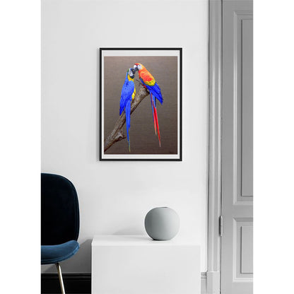 Anastasia Woron: "Two Macaws in Love" – Oil 73x54 cm (2022)