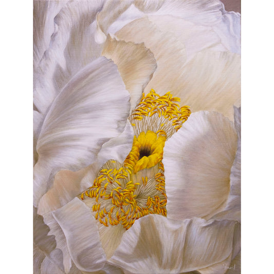Anastasia Woron - Original Signed Oil Painting 2023: White Peony 73x54cm