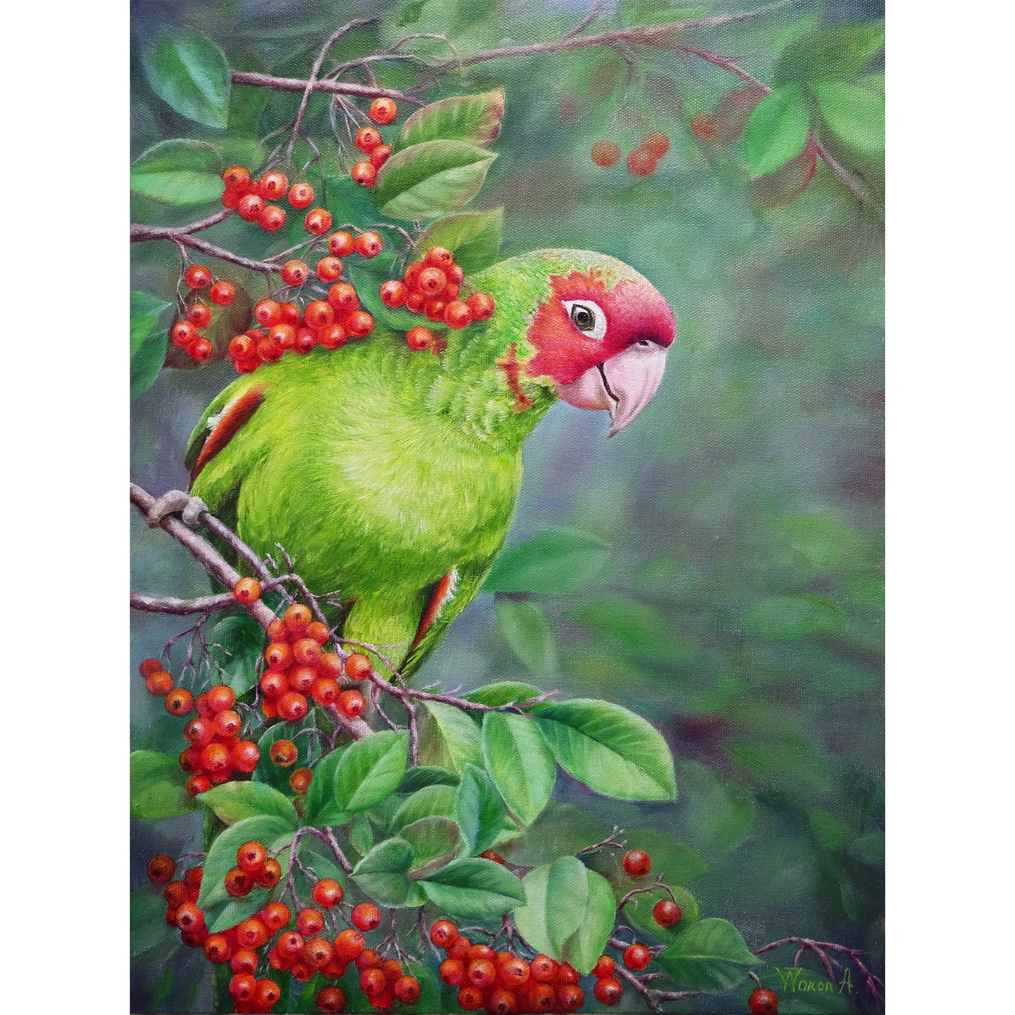 Anastasia Woron: "A Very Friendly Parrot" – Original Oil Painting 40x30 cm (2022)