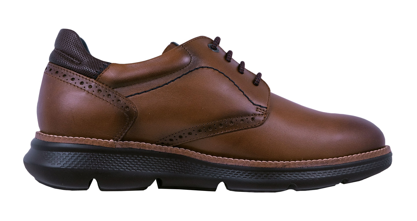 Willam Fluchos : Chaussures à lacets marron/noir F1351